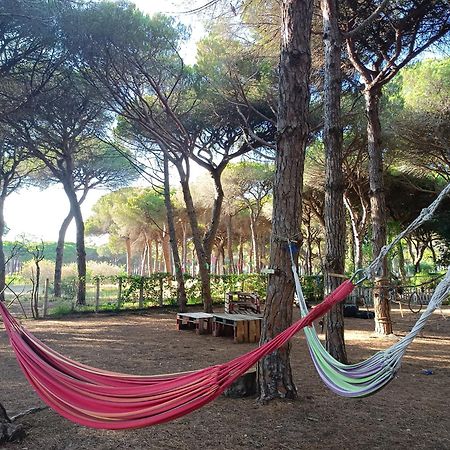 The Pineforest Cabin Chiclana de la Frontera Exterior photo