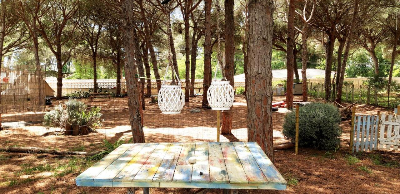 The Pineforest Cabin Chiclana de la Frontera Exterior photo