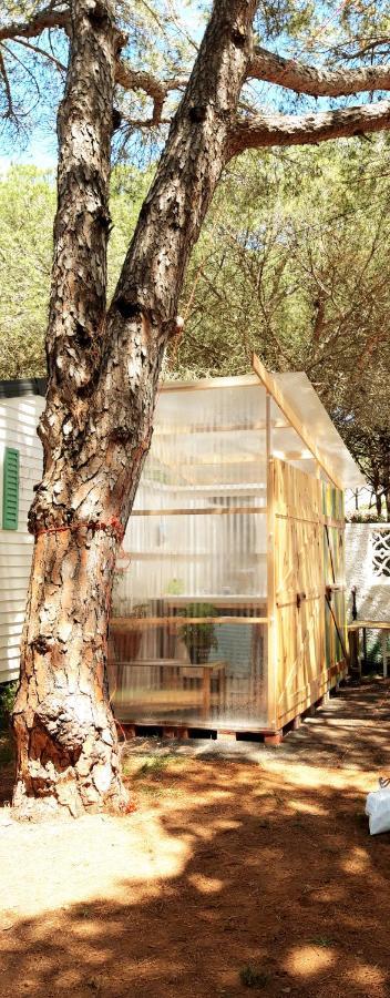 The Pineforest Cabin Chiclana de la Frontera Exterior photo