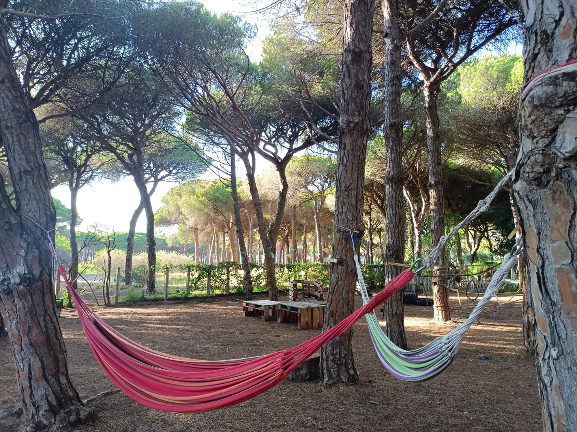 The Pineforest Cabin Chiclana de la Frontera Exterior photo